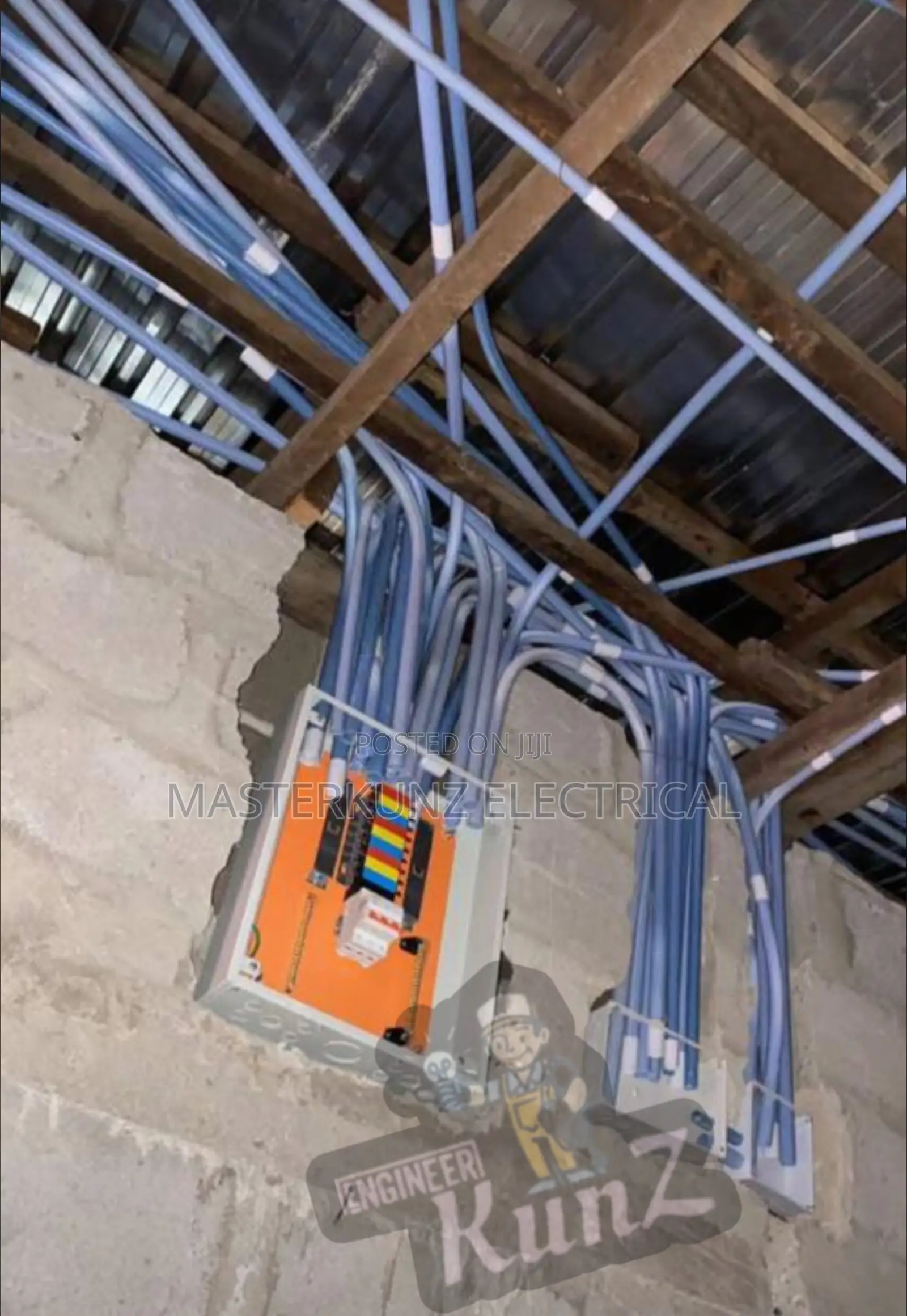Professional Electrician
