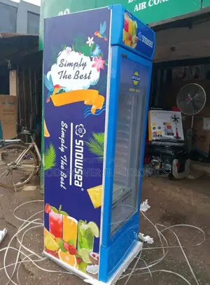 Snowsea 4 Steps Chiller, Fast Chilling