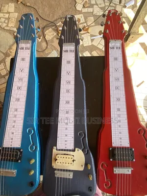 Hawaiian/Lapsteel Guitar