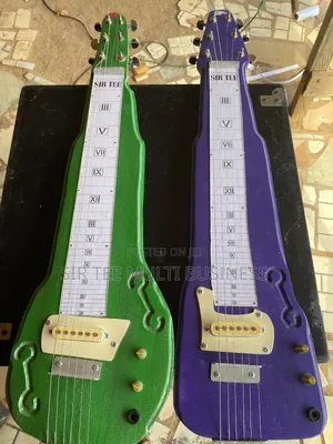 Hawaiian/Lapsteel Guitar