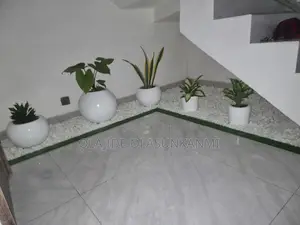 Under Stairs Beautification