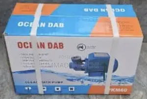 0.5hp Ocean Dab Surface Pumps