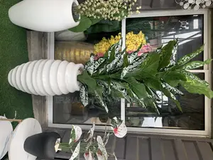 Flower and Vase