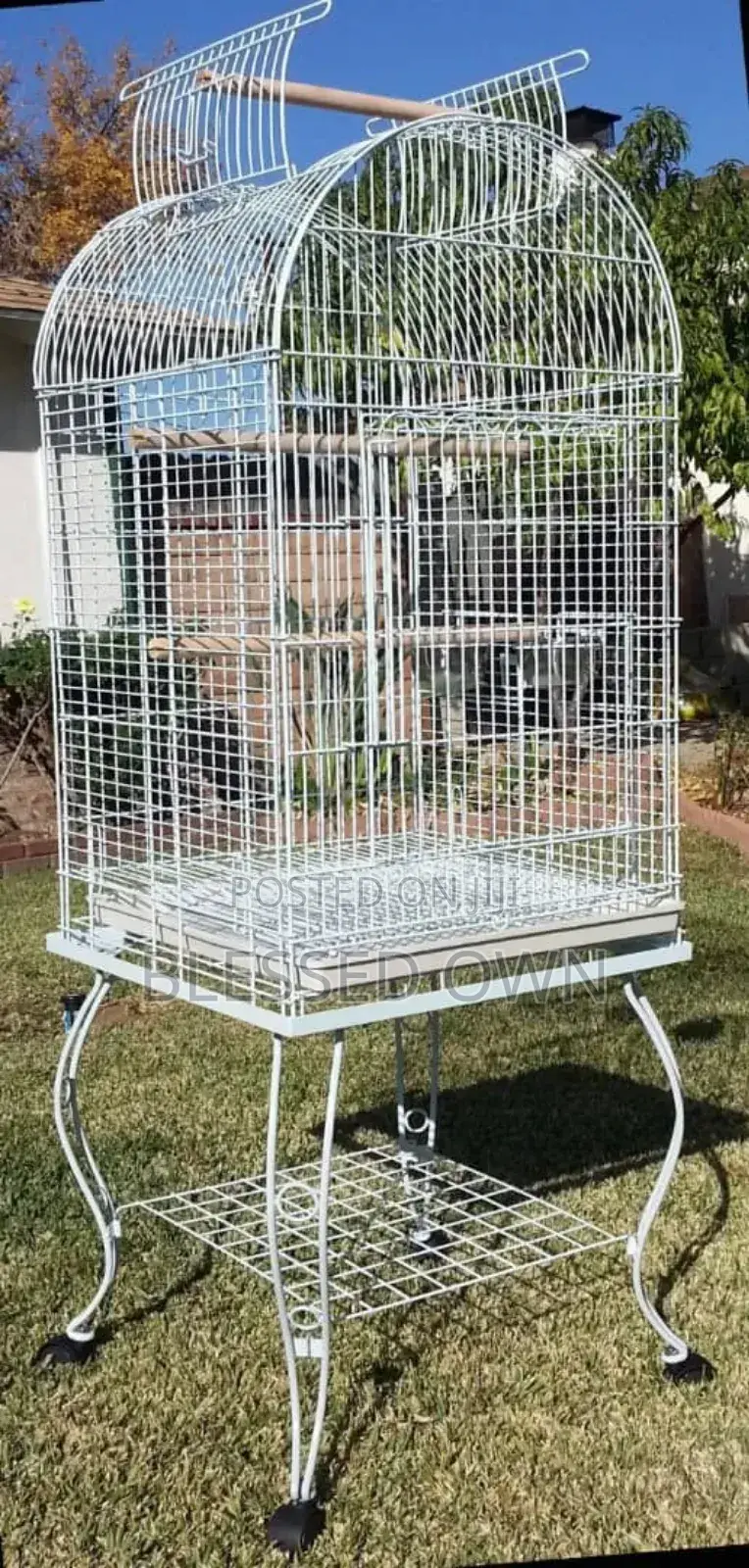 Imported Cages Are Available