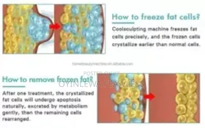 Cryotherapy Fat Freezing Body Sculpting Machine Pad