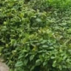 Land Available For Sale