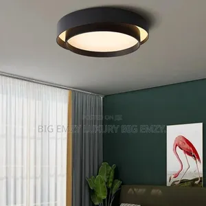 Modern Led Ceiling Mount Light.
