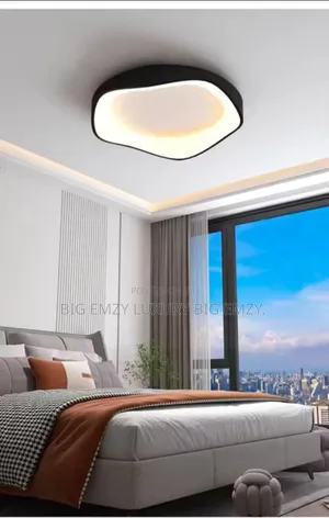 Modern Led Ceiling Mount Light.