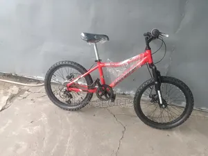 Barracuda Children Bicycle