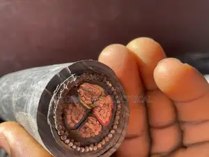 4x50mm Armored Cable