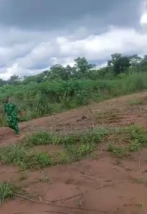 50x100sq,Meter: Land for Sale at Olloh Ogwashi.
