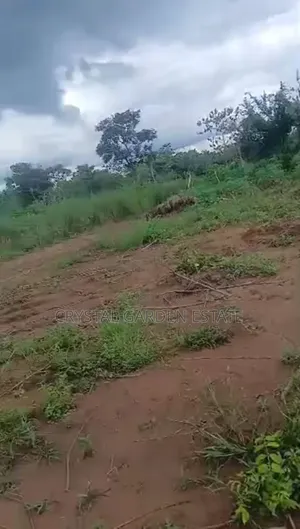50x100sq,Meter: Land for Sale at Olloh Ogwashi.