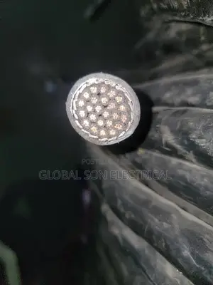 2.5mm 24core Armored Cable