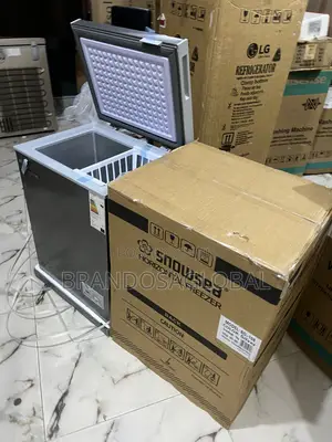 Snowsea Bd-108 Freezer – 70l Silent Cooling Beast