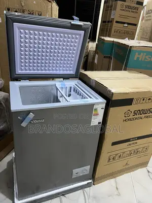Snowsea Bd-108 Freezer – 70l Efficient Cooling Power