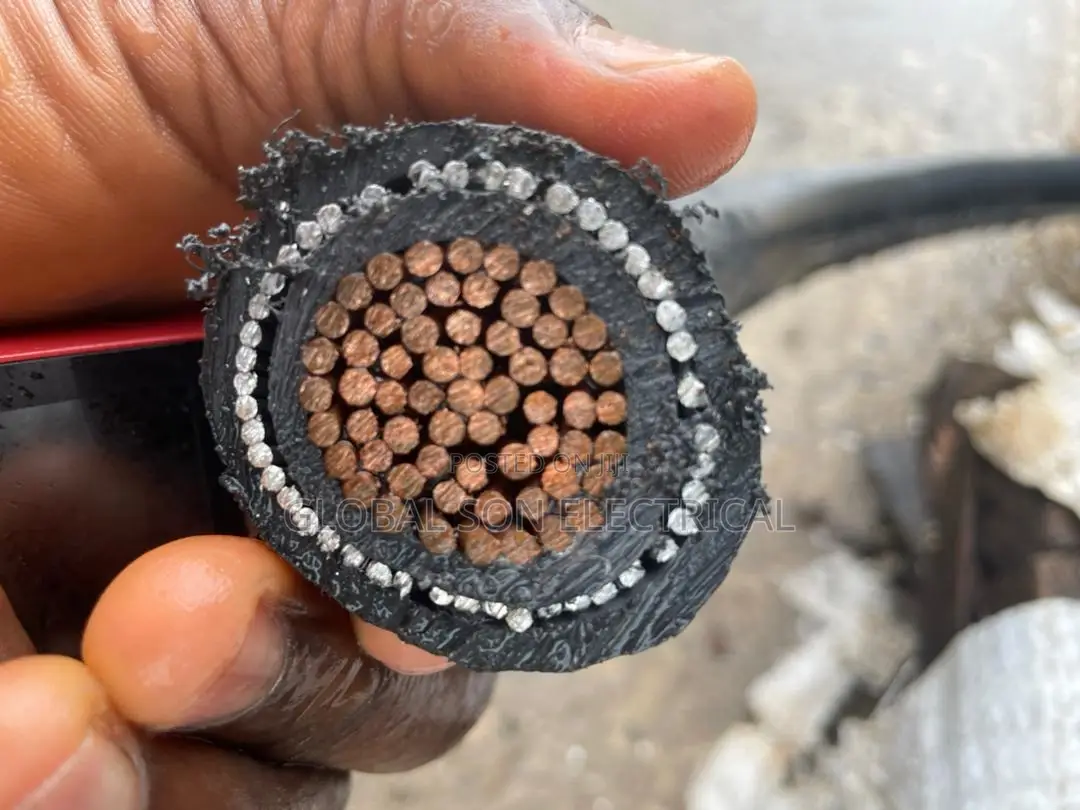 400mmx1core Armored Cable