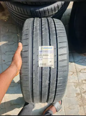 255/40r20 Michelin Tire