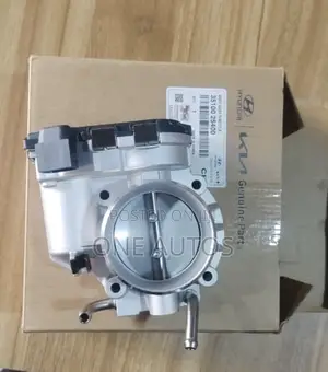 Hyundai/Kia Throttle Body