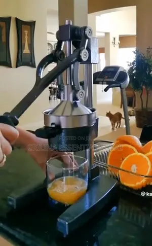 Big Manual Hand Juicer
