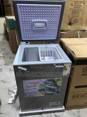 Snowsea Bd-158 110l Deep Freezer – Quiet Operation