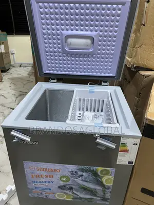 Snowsea Bd-158 110l Freezer – Low Noise Technology
