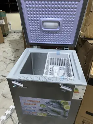 Snowsea Bd-158 – Reliable 110l Deep Freezer
