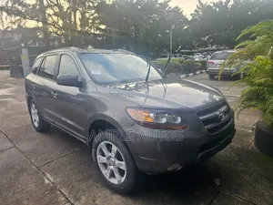 Hyundai Santa Fe 2.7 V6 4WD 2009 Gray