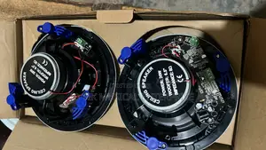 Celling Speakers 30 Watt 2 in 1 Bluetooth Speaker Frameless