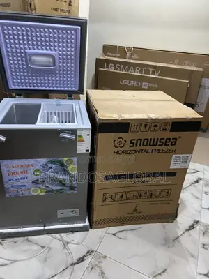 Snowsea Bd-158 110l Freezer – Durable Metal Body