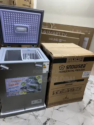 Snowsea Bd-158 Freezer – Reliable Compact Cooling