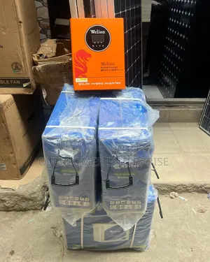 6.2kva Welion Inverter With 4pcs Tubular Battery and 15pcs 400w Panel