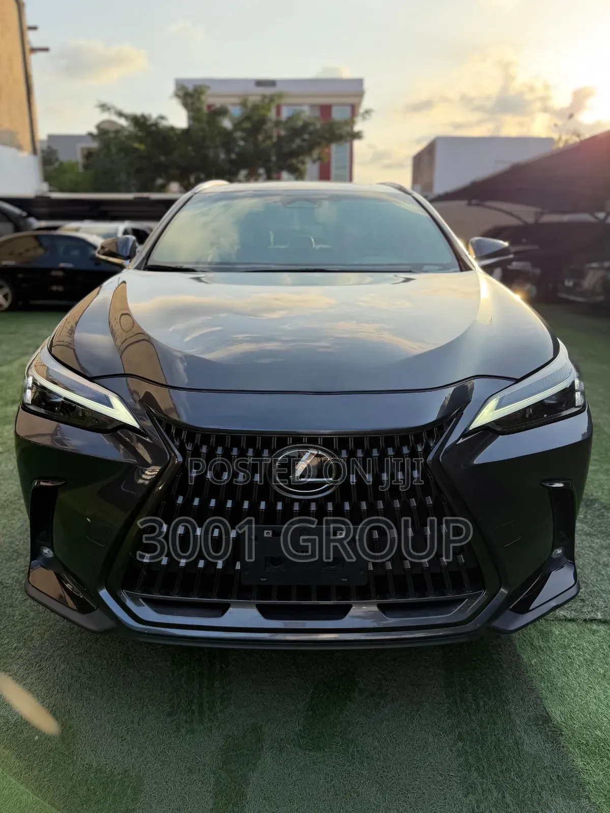 Lexus NX 2024 Gray
