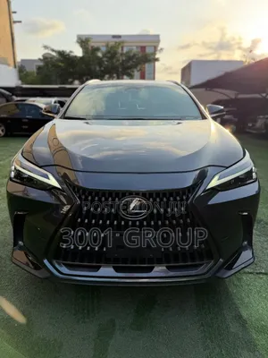 Lexus NX 2024 Gray