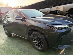 Lexus NX 2024 Gray