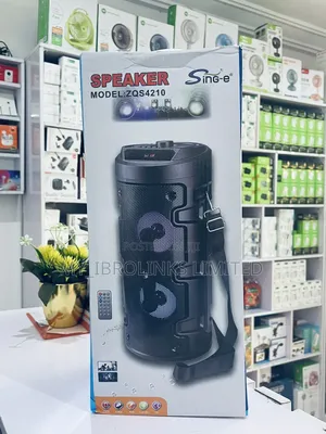 Sing-Ezqs 420 Speaker