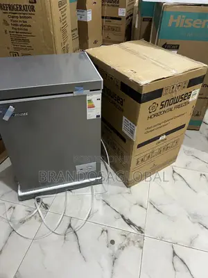 Snowsea Bd-108 – Compact 70l Freezer, Energy Smart