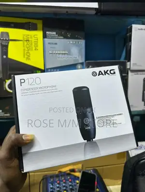 Akg P120 Condenser Microphone.