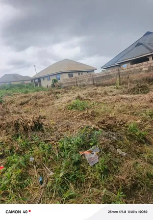 Full Plot of Land in Ginti Ikorodu Very Close to the Road for Sale