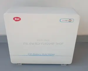 3kw Inverter + 2.56kwh Battery(2 Units)