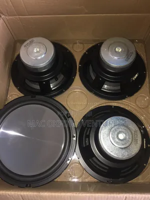 10 Inches Necked Speaker