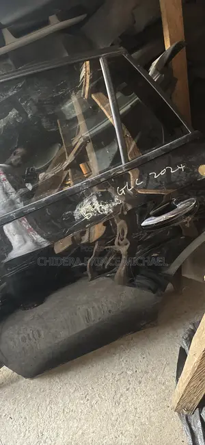 Complete Back Door for Glc300 2024 Model