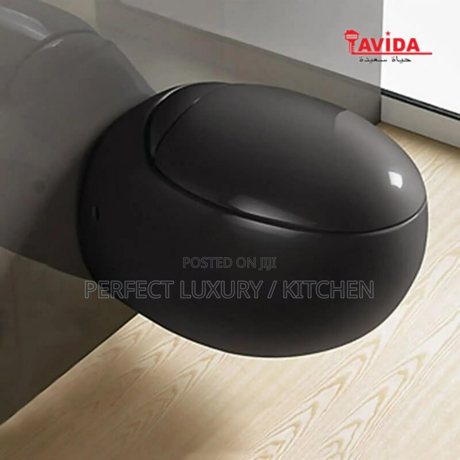 Lavida Black Egg Shape Wall Hang Concealed W C Water Closet