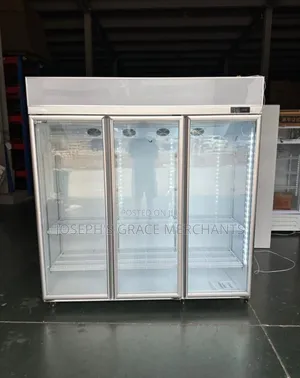 Industrial Upright 3 Doors Display Chiller.