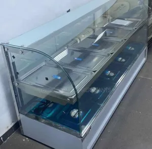 Imported Food Warmer Machine 2 Steps (10trays) Curved Glass