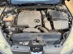 Peugeot 407 2.7 V6 HDi 2010 Gray