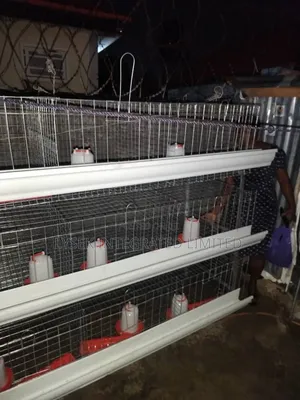 Battery Cage for Layers and Broilers
