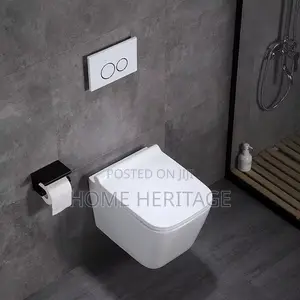 White Concealed Toilets