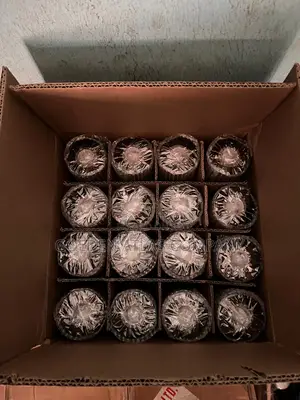 Carton of Ribbon for Date Coding Machine