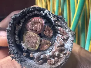 50mmx4core Nigerchin Electric Cable