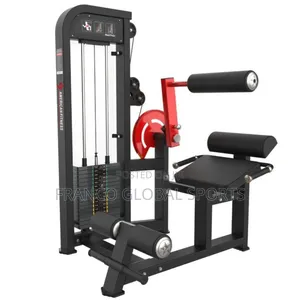 Abdominal Crunch and Back Extension Machine